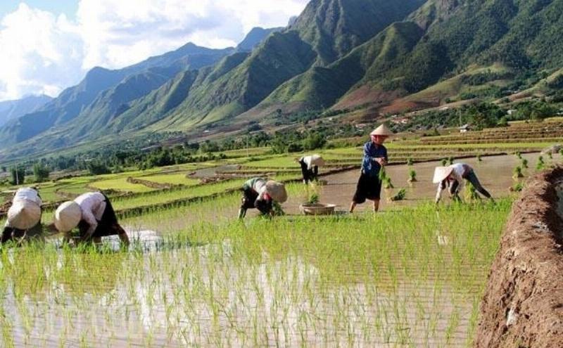 Hình ảnh minh họa sự di cư nội bộ ở Trung Quốc, có thể thể hiện cảnh người dân từ vùng nông thôn hoặc vùng dân tộc thiểu số chuyển đến các thành phố lớn, liên kết với các vấn đề xã hội và kinh tế, liên quan đến trung quốc có bao nhiêu dân tộc và nơi họ sinh sống