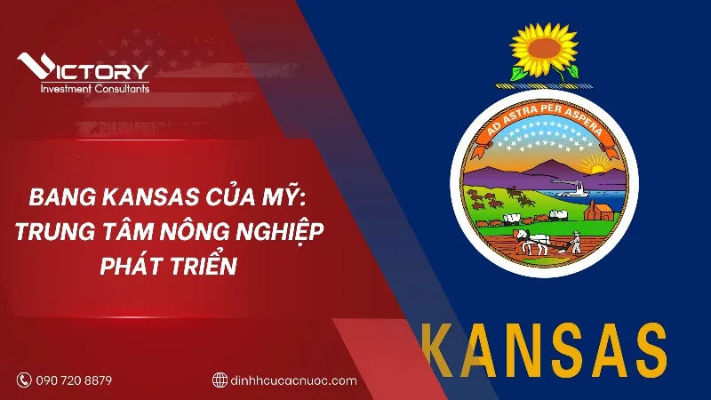 Hình ảnh minh họa sự đa dạng kinh tế của Thổ Nhĩ Kỳ, từ nông nghiệp đến công nghiệp và du lịch, phản ánh tiềm năng từ diện tích Thổ Nhĩ Kỳ.