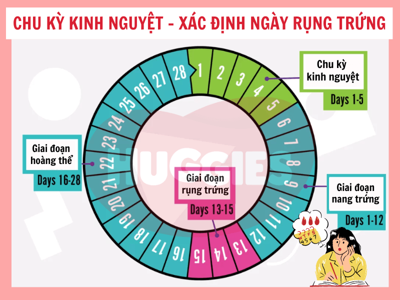 Biểu đồ hoặc hình ảnh minh họa khung thời gian chờ đợi kết quả sinh thiết theo các mốc thời gian (ví dụ: 3 ngày, 7 ngày, 2 tuần)
