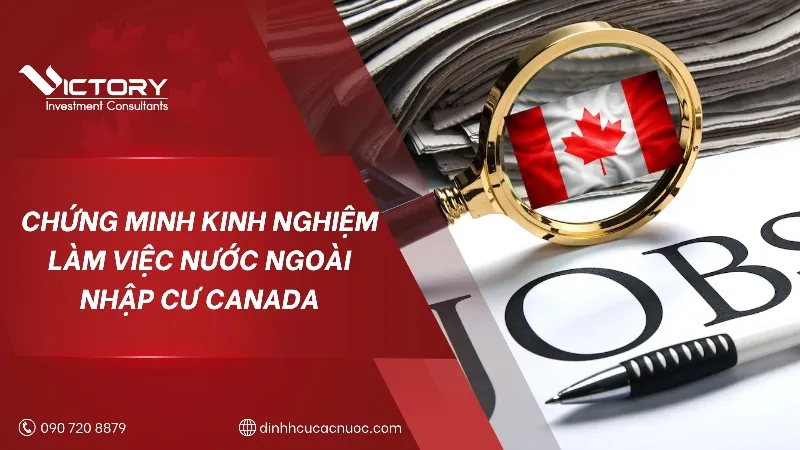 Chứng minh thu nhập từ hoạt động tự kinh doanh hoặc doanh nghiệp nhỏ cho hồ sơ định cư Châu Âu.