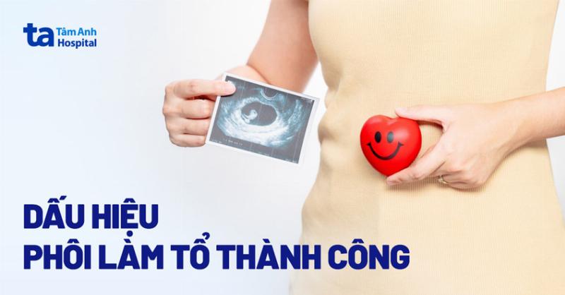 Hình ảnh minh họa hành trình phôi thai từ ống dẫn trứng di chuyển và vào tử cung để chuẩn bị làm tổ