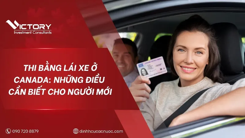 Chuyen gia VBC tu van doi bang lai xe oto dinh cu Chau Au