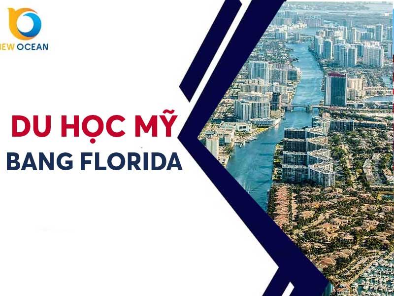 Hình ảnh một nhóm sinh viên quốc tế đa quốc gia đang học tập hoặc hoạt động ngoại khóa tại khuôn viên trường đại học ở New Zealand, thể hiện môi trường học tập đa dạng và năng động