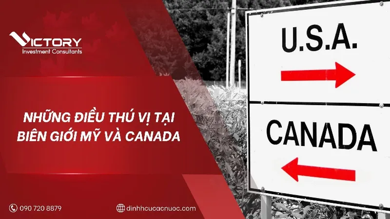Biểu tượng hoặc hình ảnh đại diện cho VBC đồng hành cùng khách hàng trên con đường định cư Châu Âu, có thể có hình ảnh bản đồ Châu Âu và các hồ sơ giấy tờ